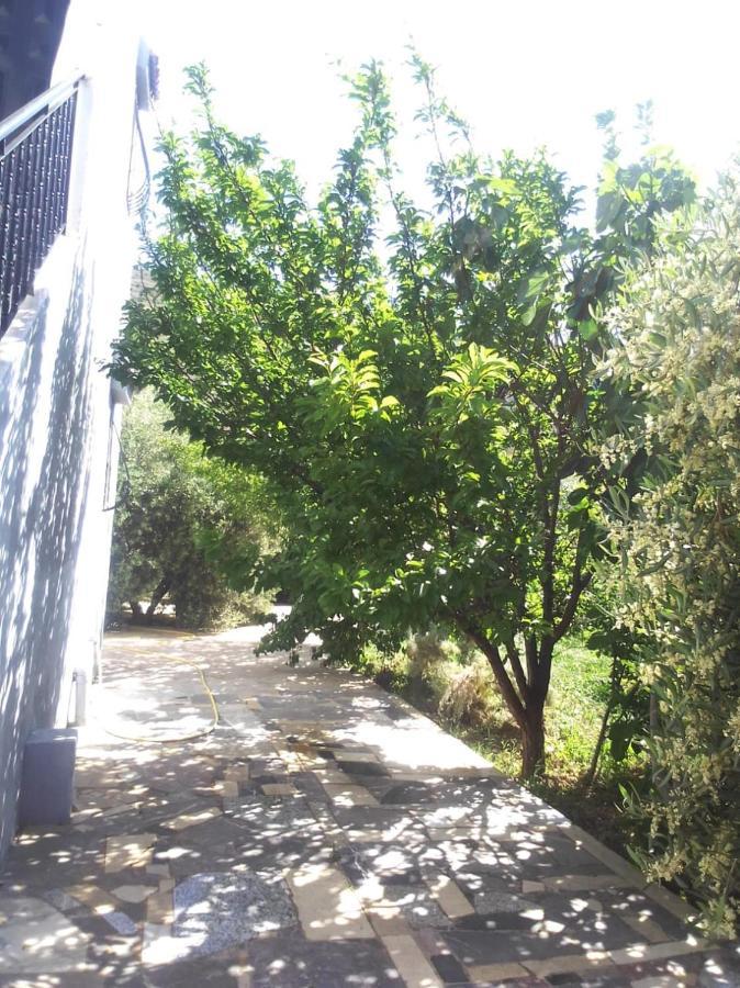 فيلا Belle Maison Au Coeur Des Montagnes De Taza A Moins De 10 Minutes De L'Agora Park المظهر الخارجي الصورة